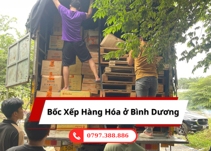 Bốc Xếp Hàng Hóa Ở Bình Dương